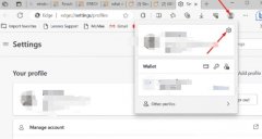 如何修复Windows11中的AADSTS501201登录错误