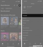如何在iPhone、iPad和Mac上更改Spotify语言设置