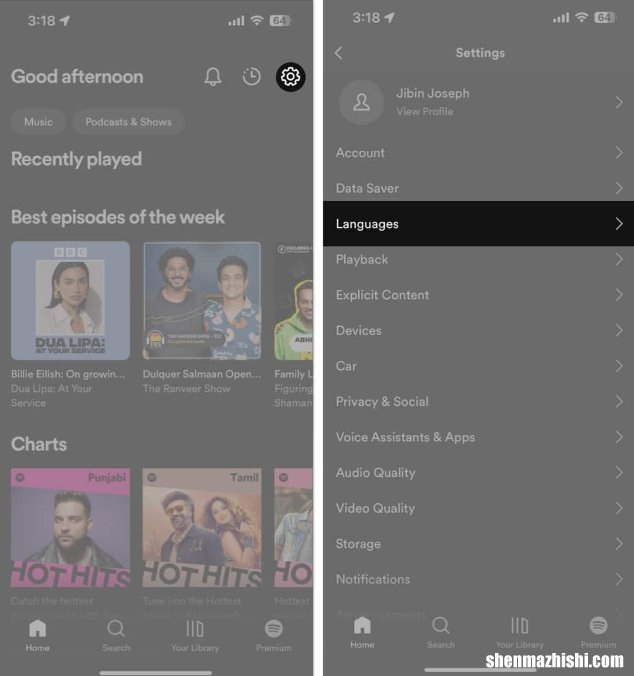 如何在iPhone、iPad和Mac上更改Spotify语言设置