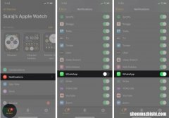 如何在Apple Watch上使用WhatsApp