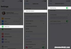 如何解决iPhone上的“仅SOS”问题