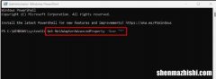 修复Windows11或10中Wi-Fi属性中缺少首选频段的问题