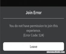 修复Roblox错误代码524您无权加入Windows11或10