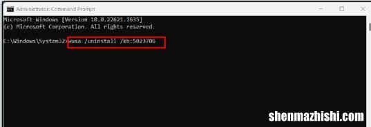 Win11中文件资源管理器搜索历史记录消失，找回方法