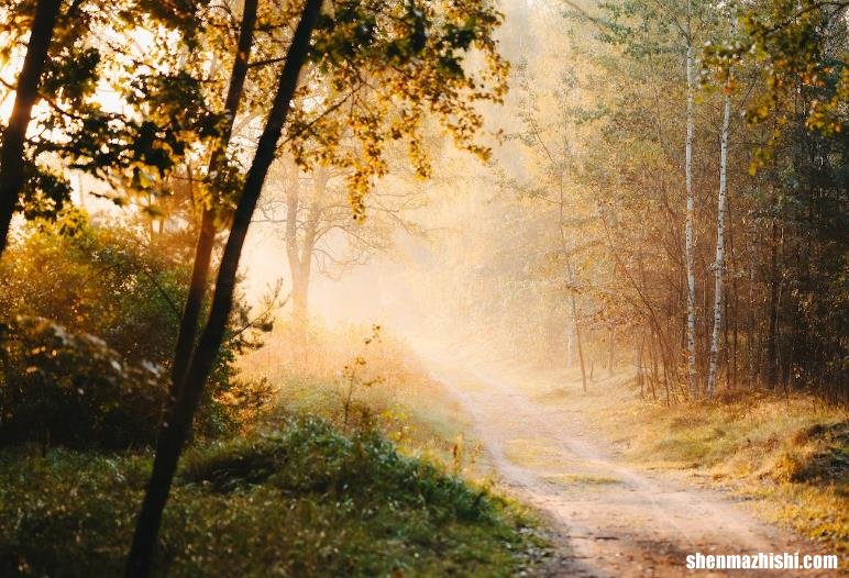 JPG和JPEG文件的区别，两者有何相似之处