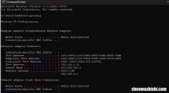 Win10/11如何从CMD&#8221;命令提示符&#8221;查找您的IP地址