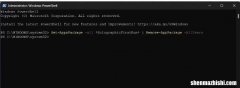 如何修复Win11上的“ms-resource:Appname/Text”错误